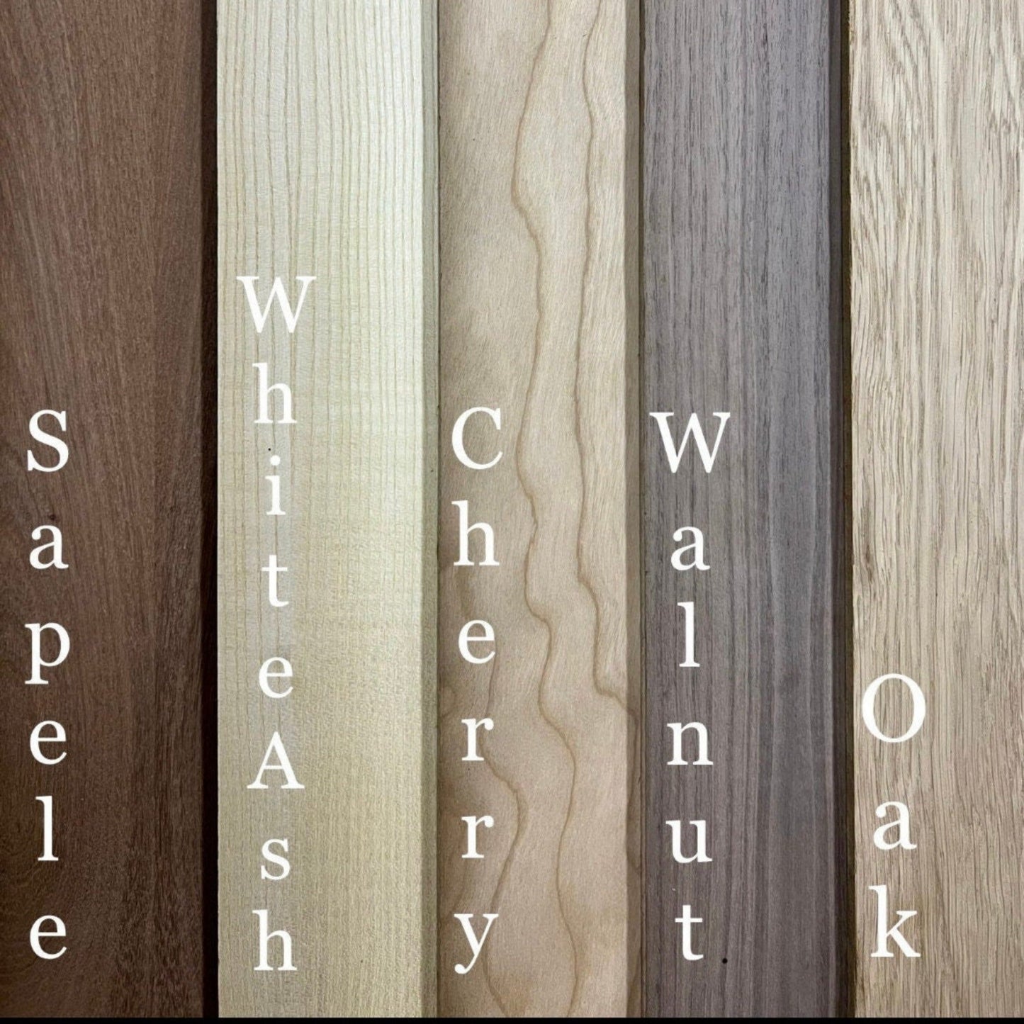 Elephant Nursery Decor