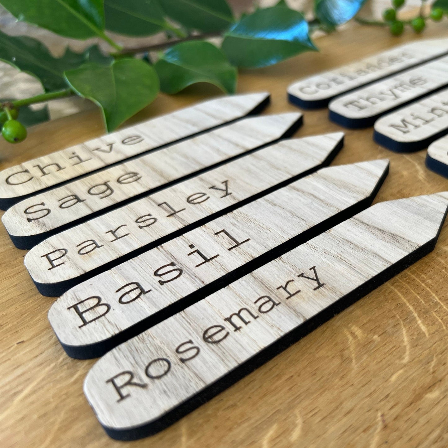 Herb and Plant Name Stakes