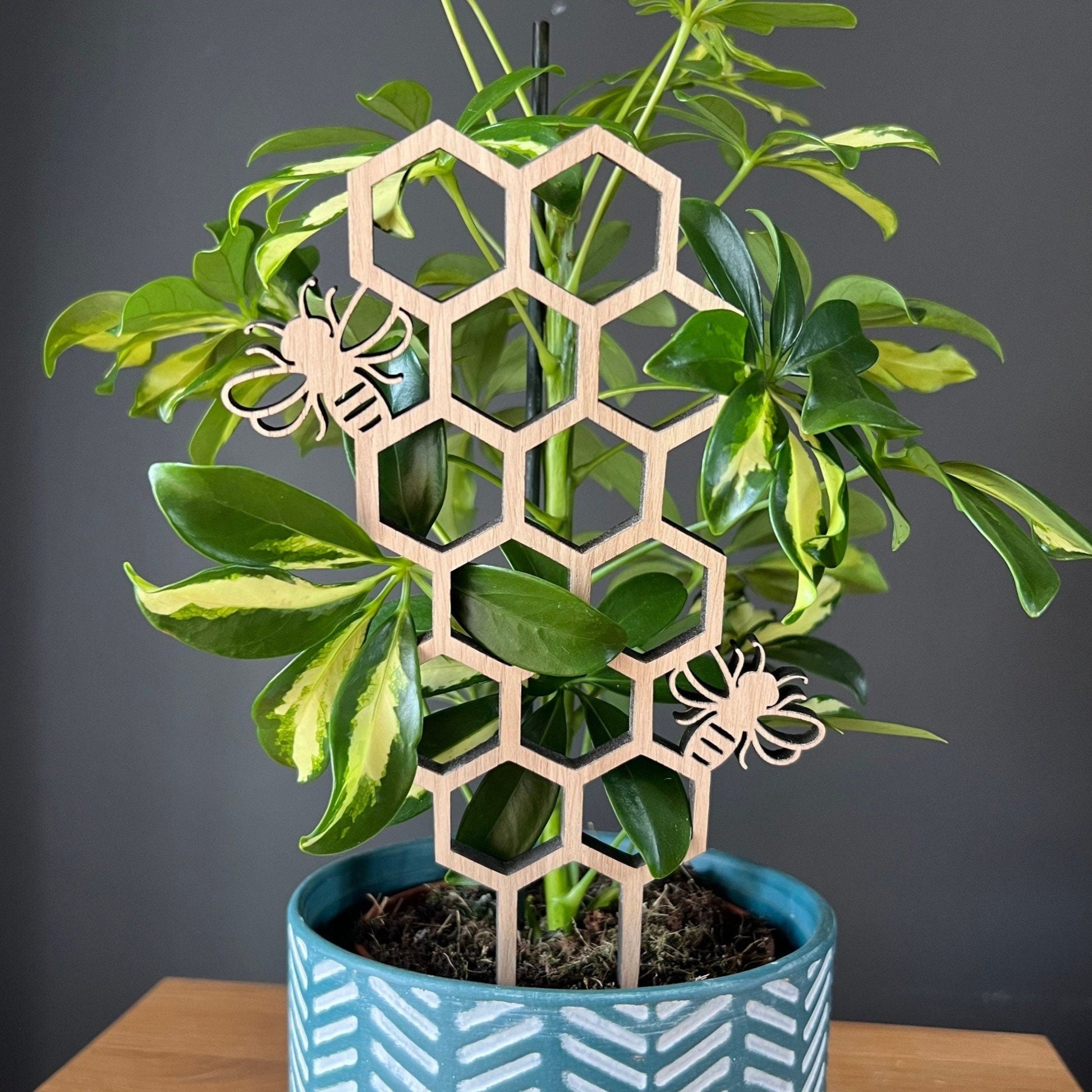Decorative bee plant support for climbing indoor plants