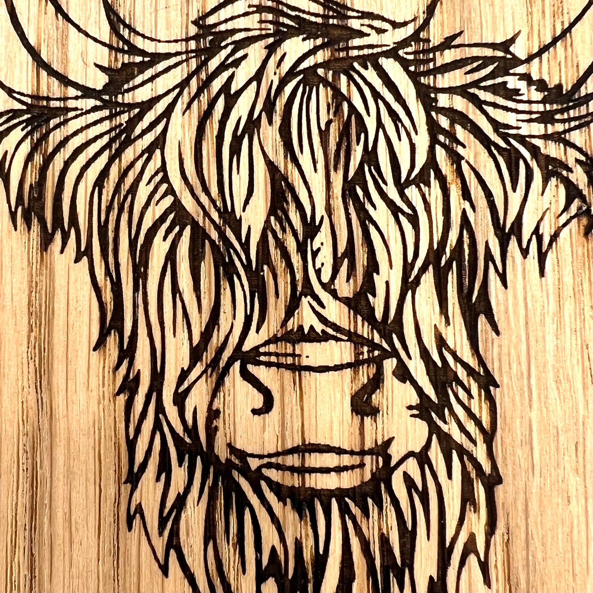Close up of laser engraved Highland Cow coaster design