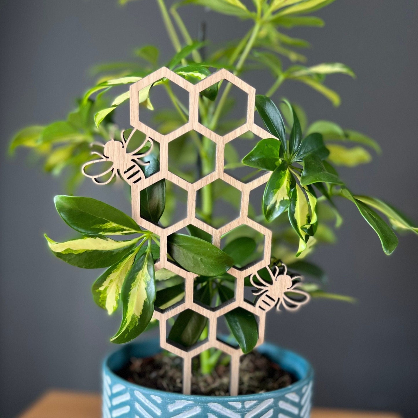 Wooden bumble bee and honeycomb plant trellis in houseplant