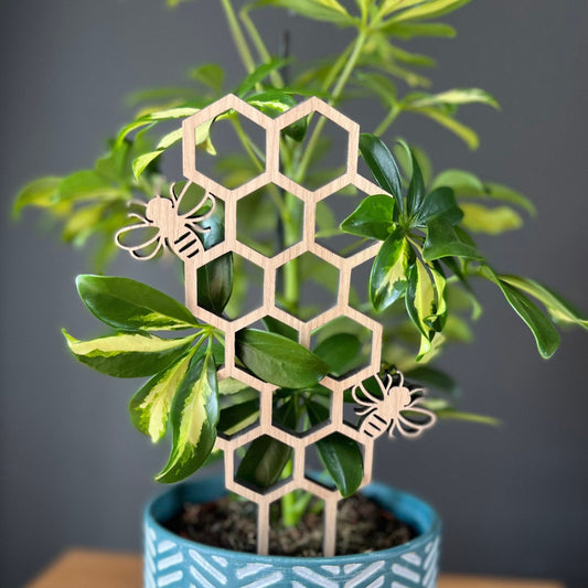 Wooden bumble bee and honeycomb plant trellis in houseplant