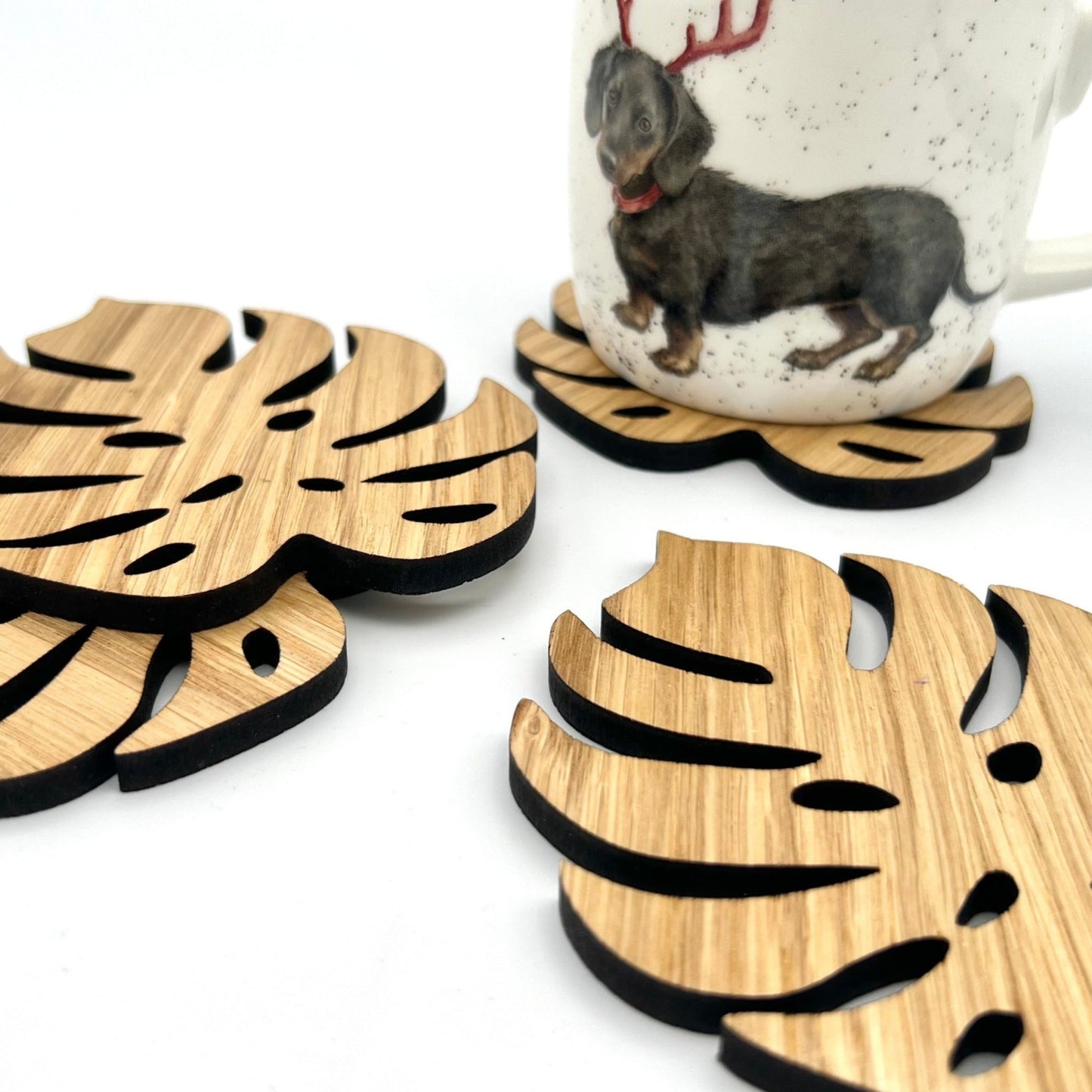 Monstera Leaf Coasters