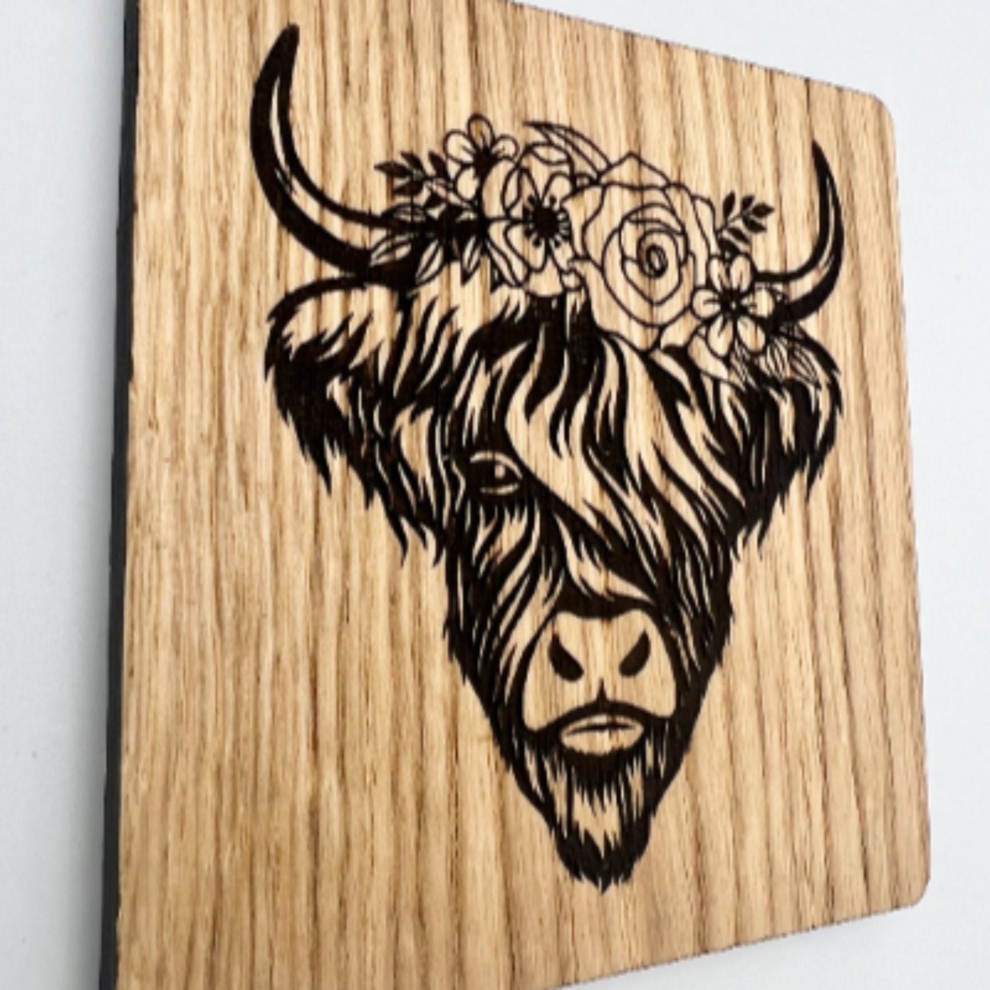 Highland Cow Coaster