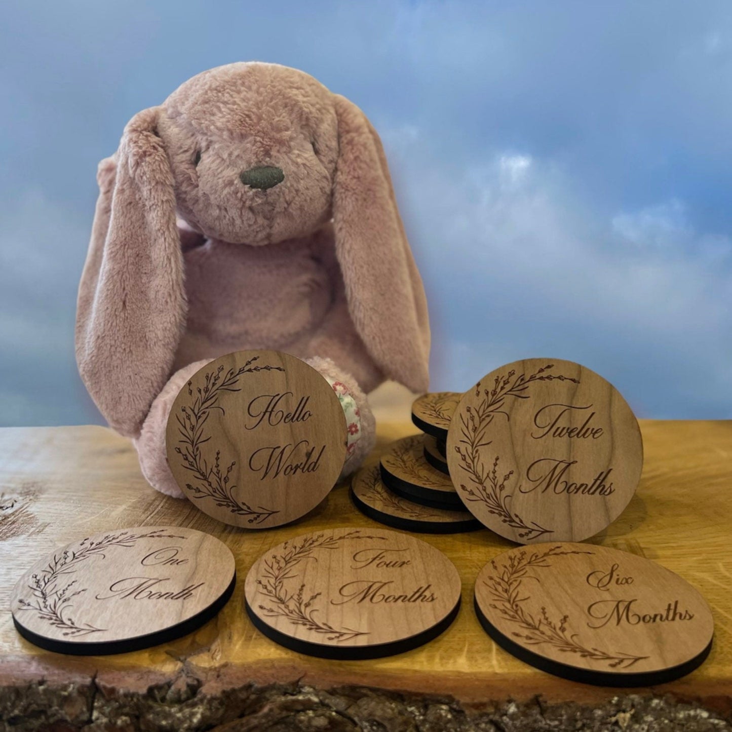 Baby Monthly Milestone Tokens