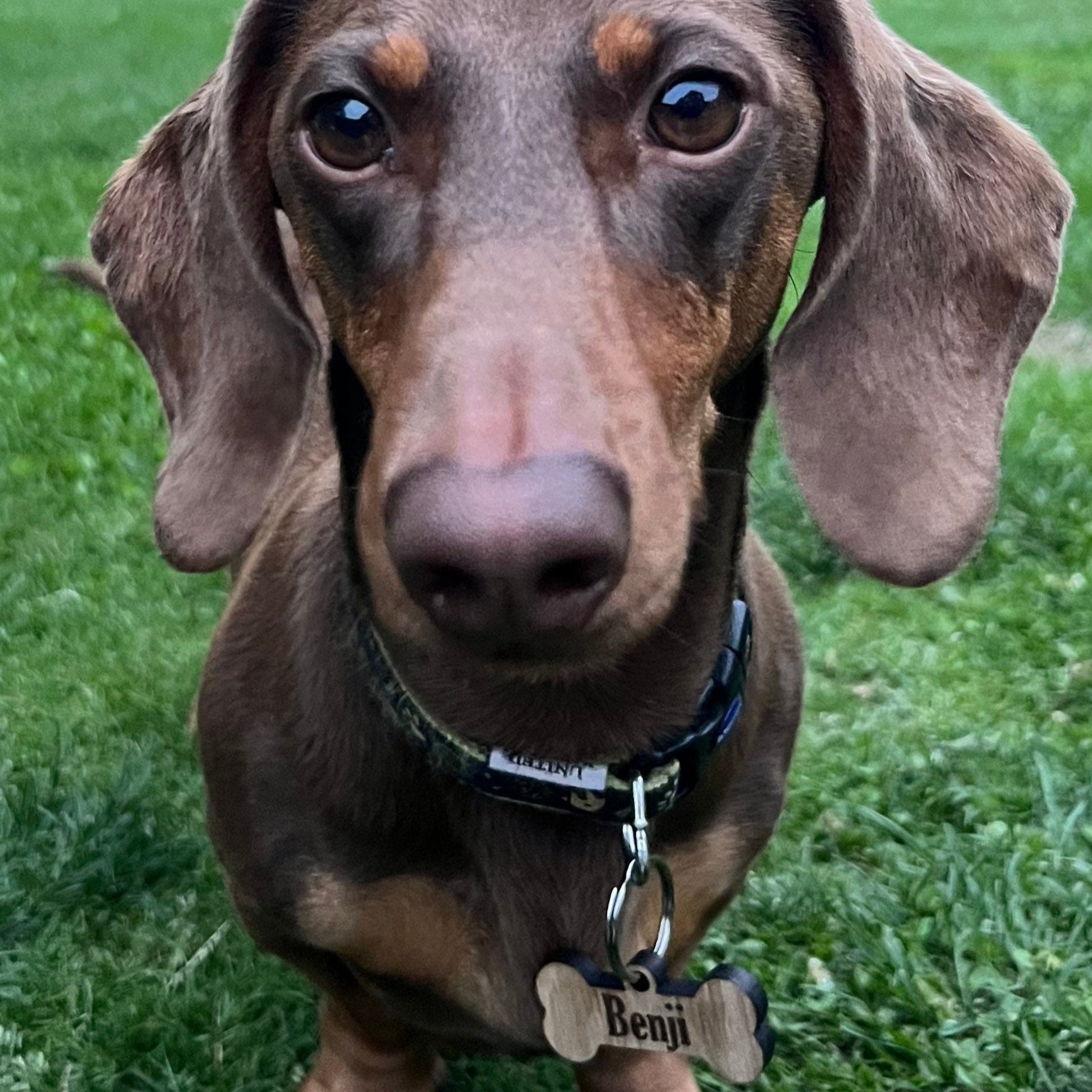 Personalised Bone Keyring