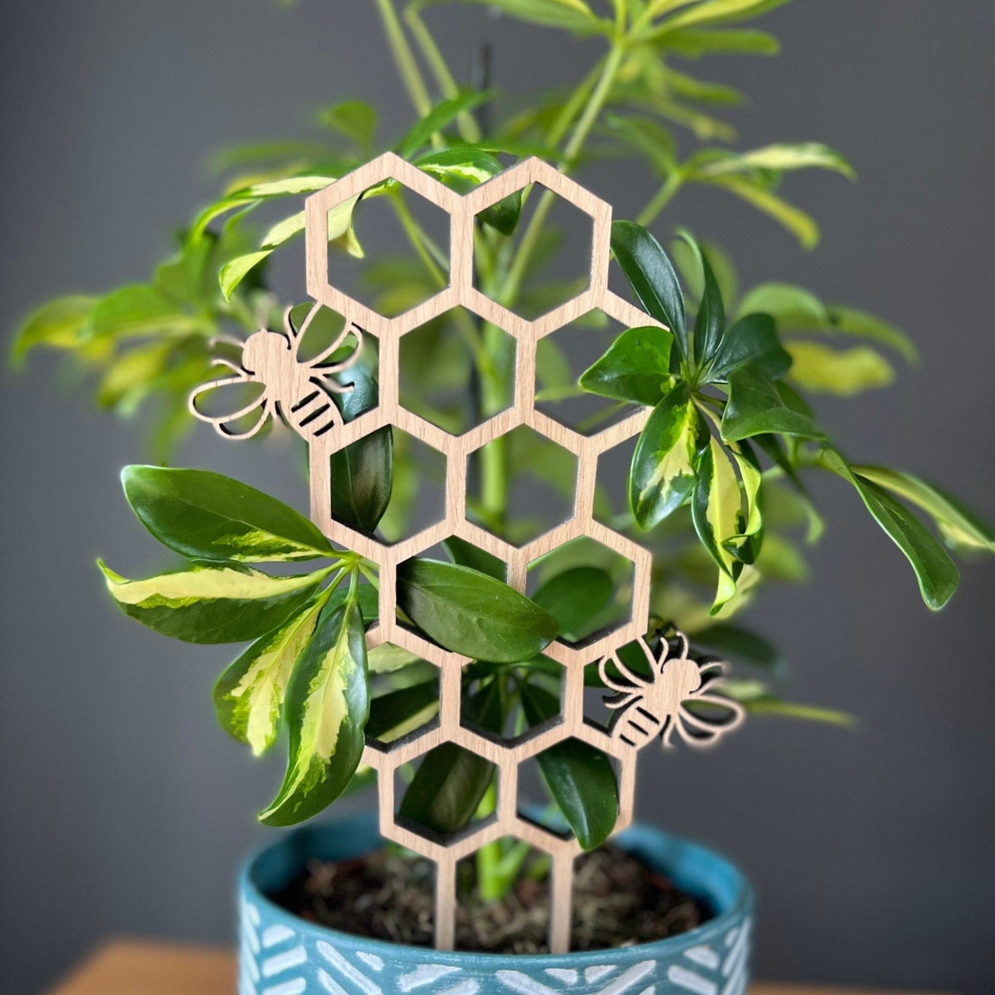 Plant Trellis - Bumble Bee and Honeycomb