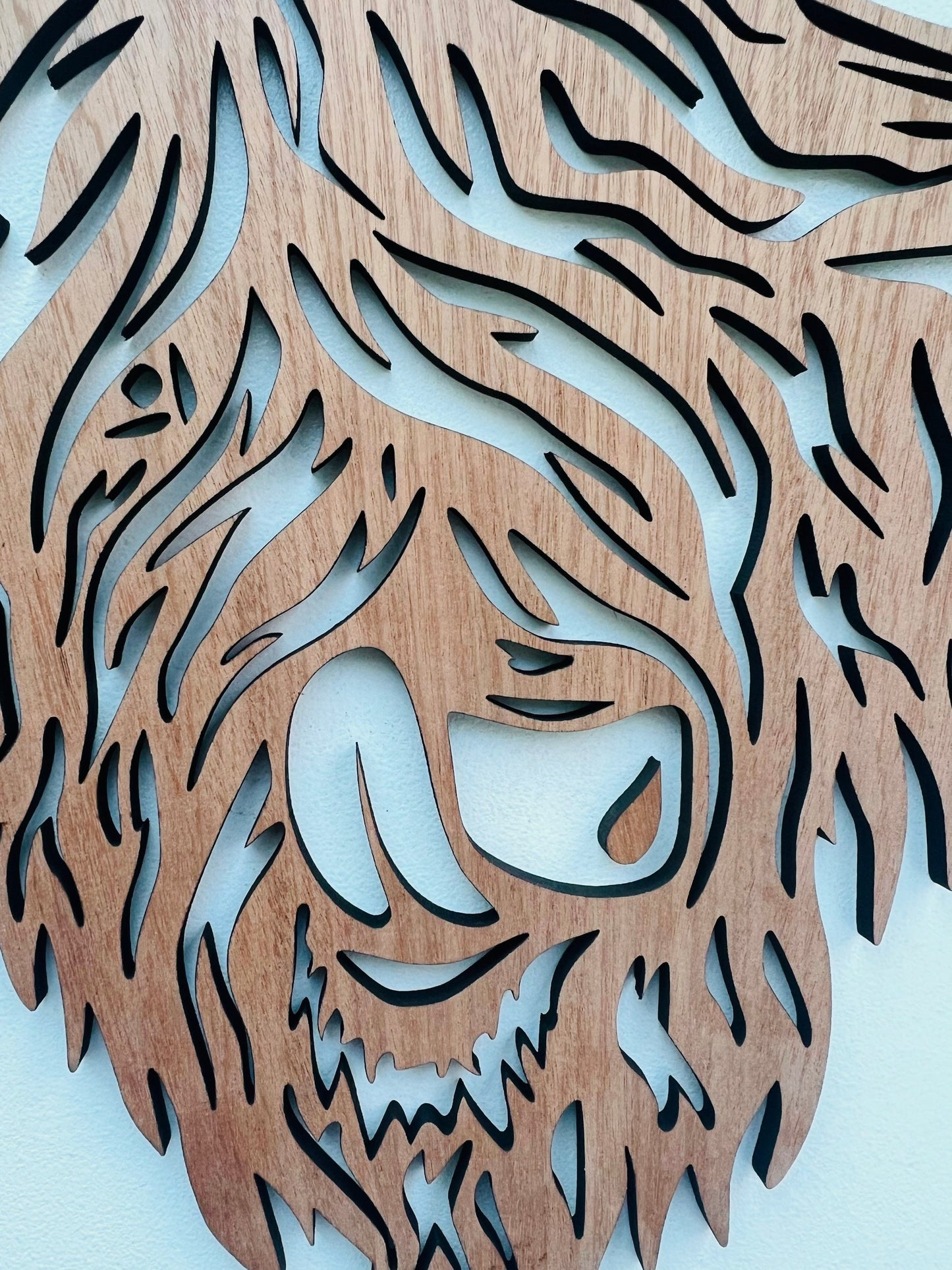 Highland Cow Wall Art